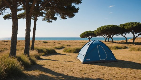 Île d'oléron : escapade en camping entre océan et nature